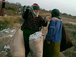 В Туркменистане бюджетников вновь привлекают к сбору хлопка. Дехканам недоплачивают за урожай